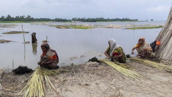 fibre de jute dans l'eau