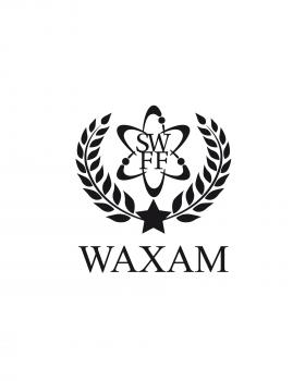 Super Wax - African Luxor Fabric - Tissushop
