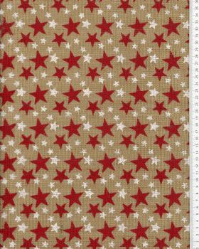 Christmas tree skirt with star pattern - Tissushop