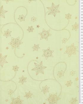 Organza Étoile Filante Vert Spring - Tissushop