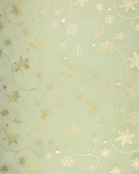 Organza Étoile Filante Vert Spring - Tissushop