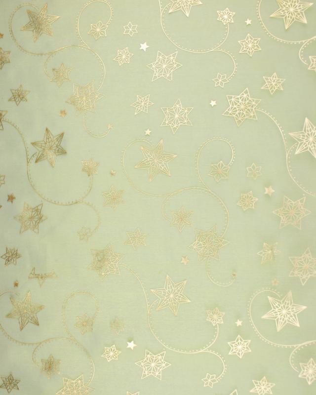 Organza Étoile Filante Vert Spring - Tissushop