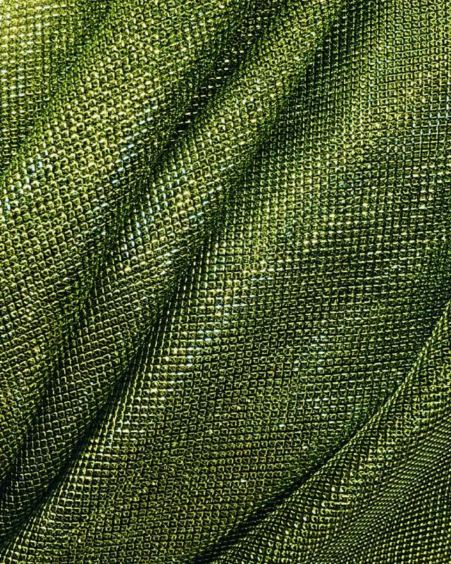 Lurex Metallic Mesh 2 Tones Black / Spring Green - Tissushop