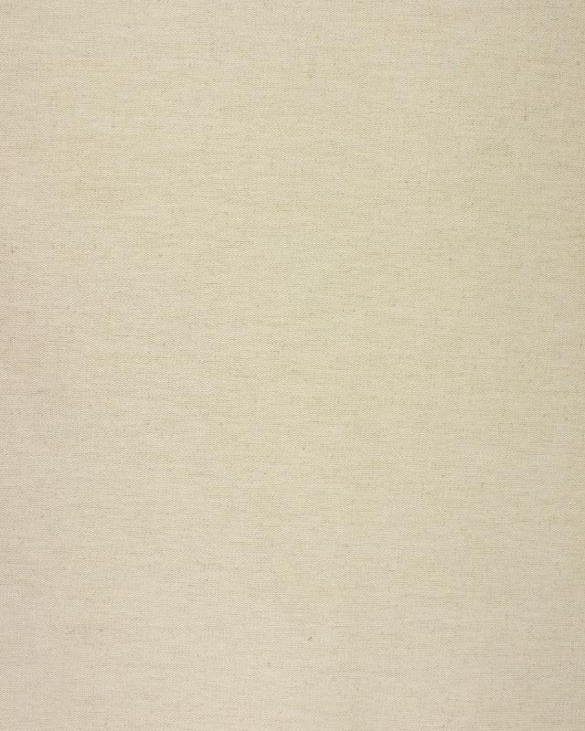 Toile Bizonne Supérieure en 415 cm Naturel - Tissushop