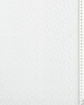 Coton broderie anglaise pissenlit Blanc - Tissushop